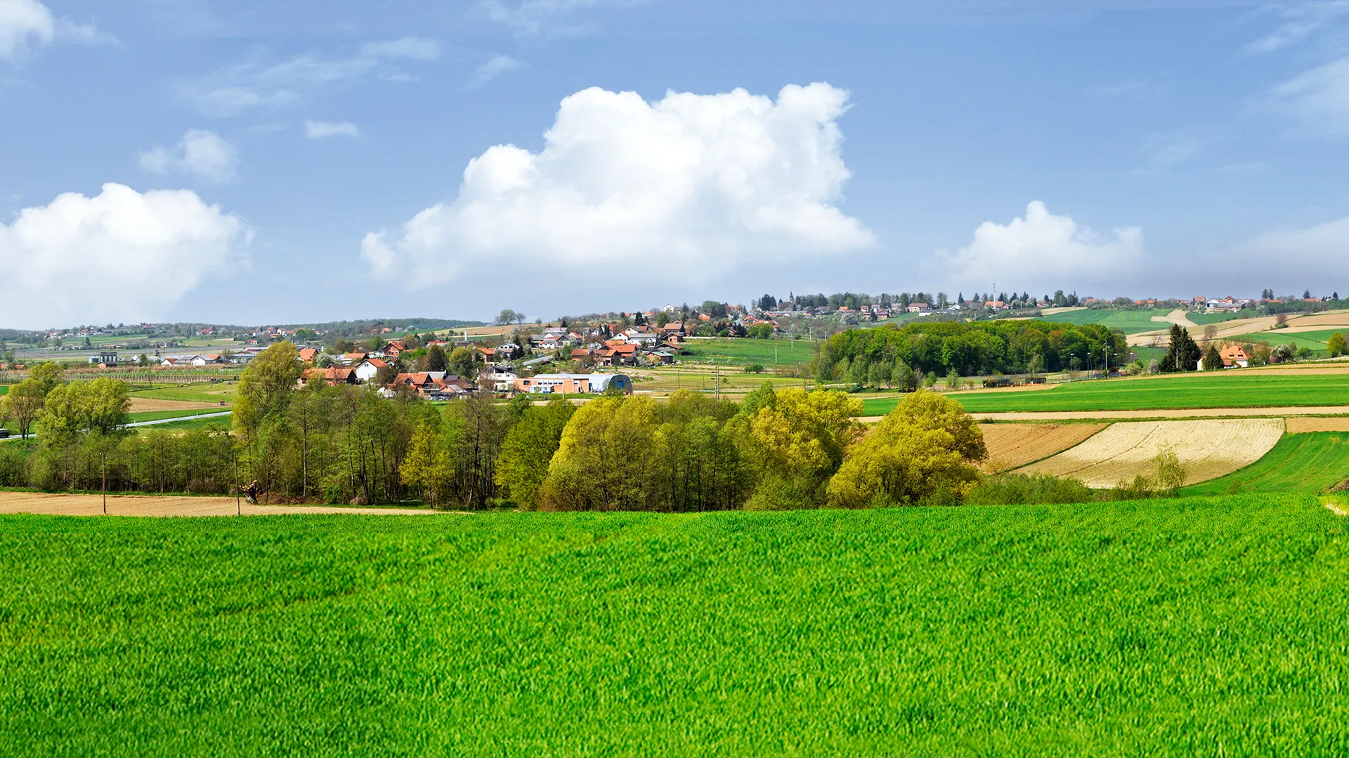 Fotografija Žabna 2